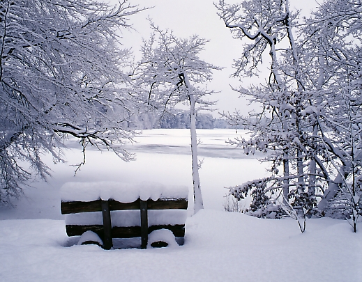 Stark verschneiter Wintermorgen von Thomas Ebelt