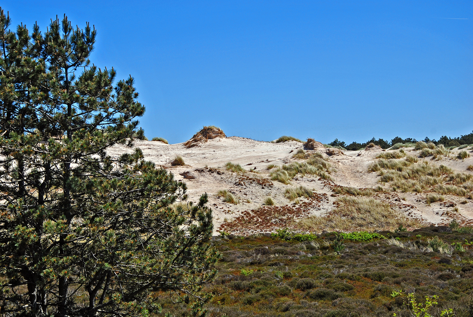 starkböigedünenwanderung