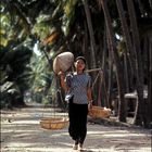 Starke Frauen im Mekongdelta 08