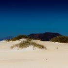 Starke Kontraste auf Fuerteventura!!!