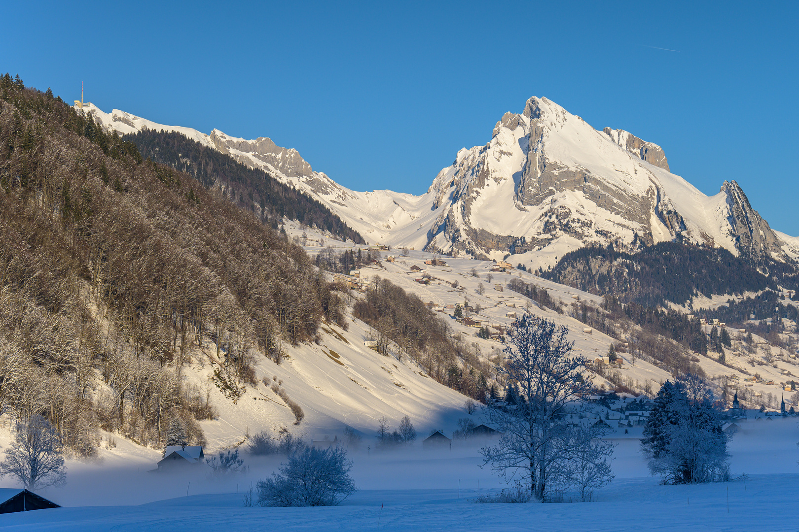 Starkenbach - Blick zum Wildhauser Schafberg