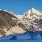 Starkenbach - Blick zum Wildhauser Schafberg