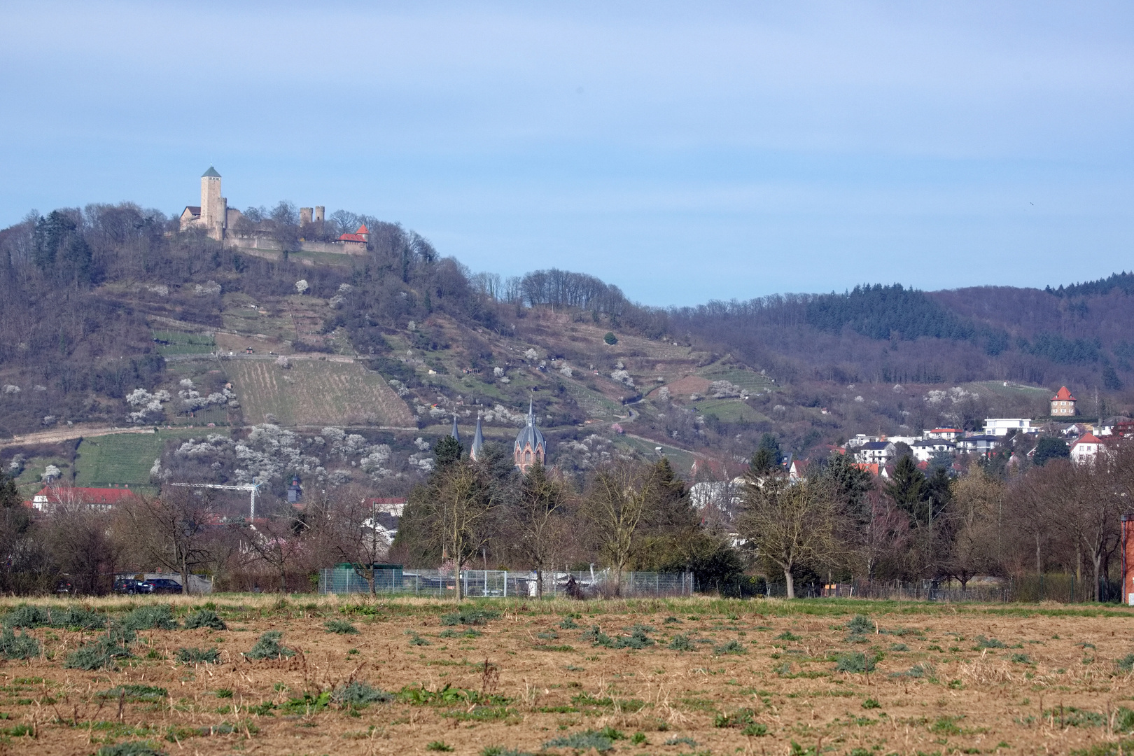 Starkenburg bei Heppenheim