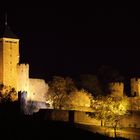 Starkenburg bei Nacht