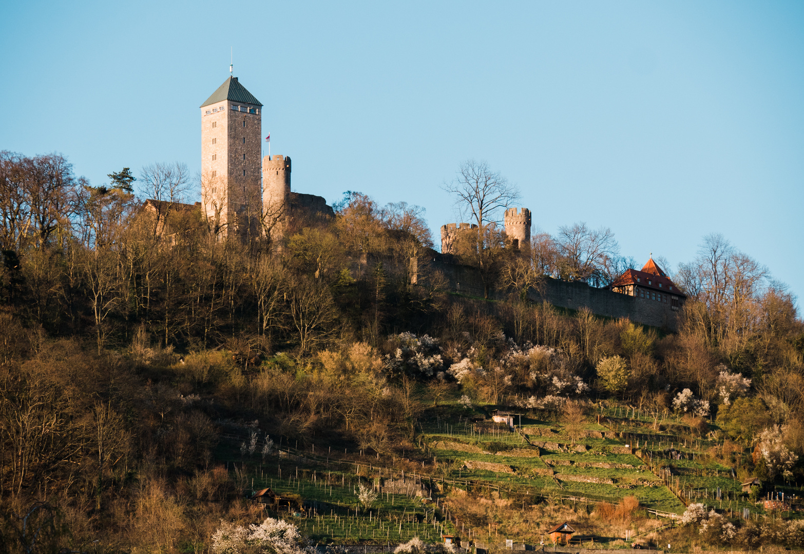 Starkenburg Heppenheim 2 2020