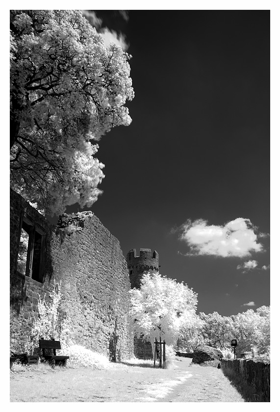 Starkenburg Heppenheim_IR