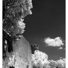 Starkenburg Heppenheim_IR