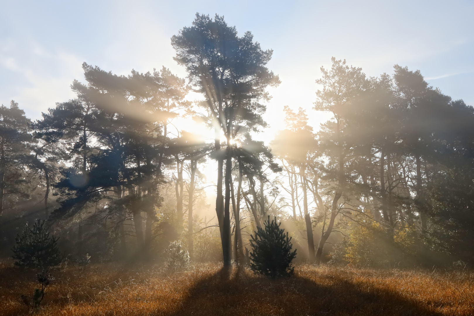 starker Durchblick der Sonne am frühen Morgen