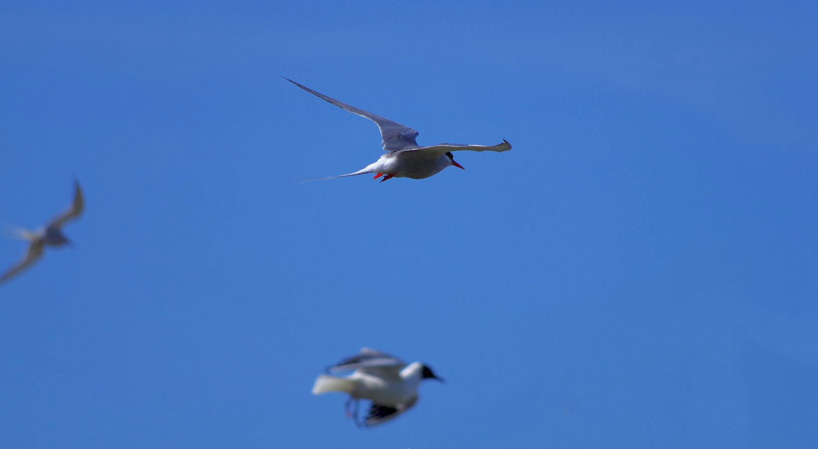 starker Flugverkehr