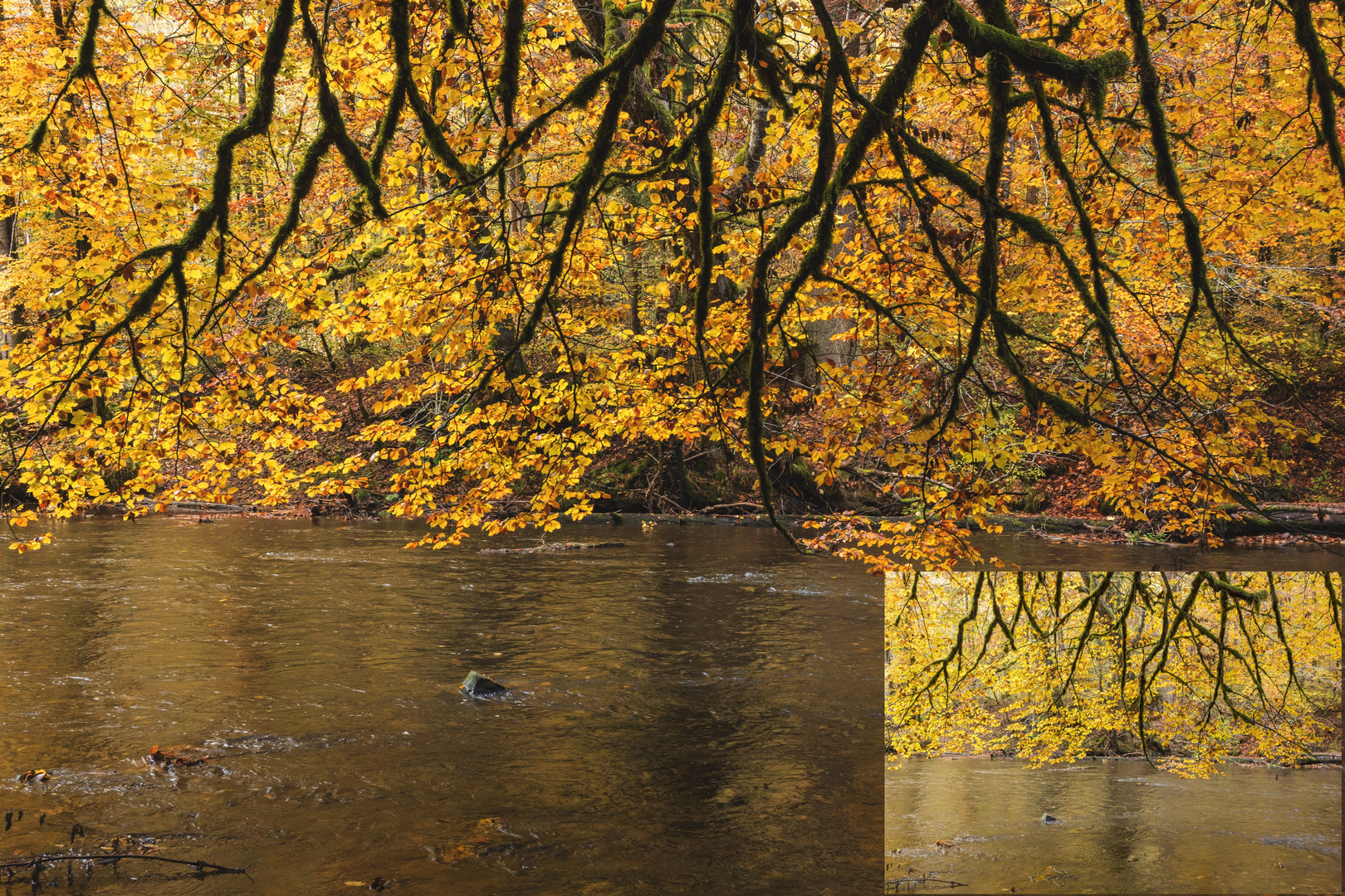 Starker Herbst