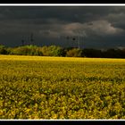 starker Regen wird erwartet