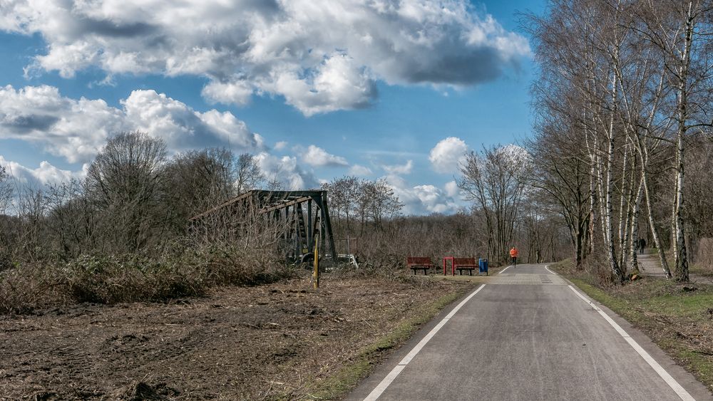 Starker Rückschnitt