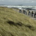 starker Wind auf Hiddensee