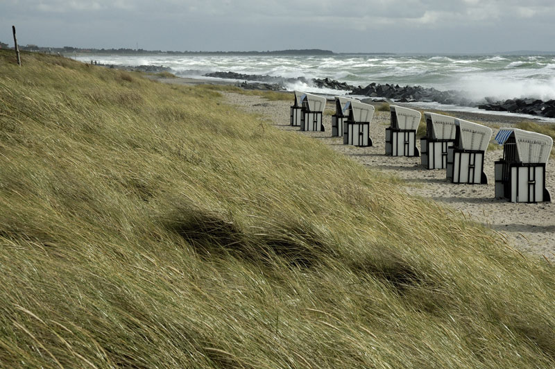 starker Wind auf Hiddensee