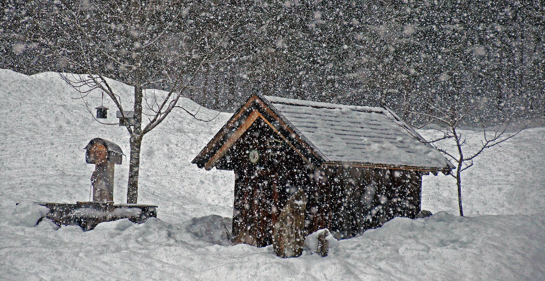 starkes Schneetreiben