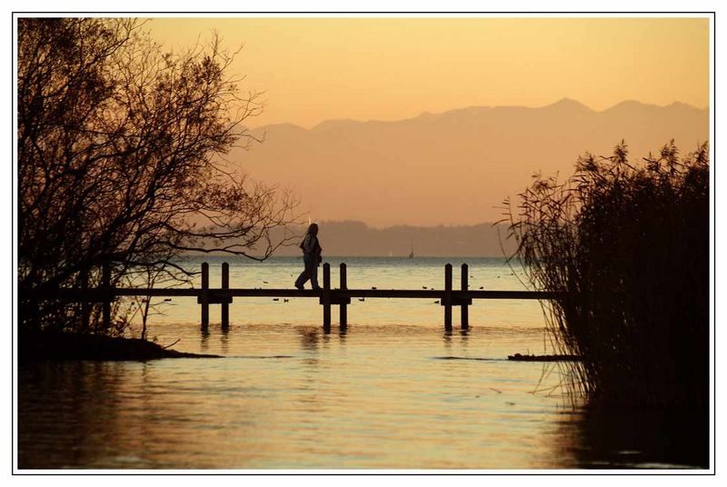 Starnberger See 1