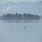 Starnberger See