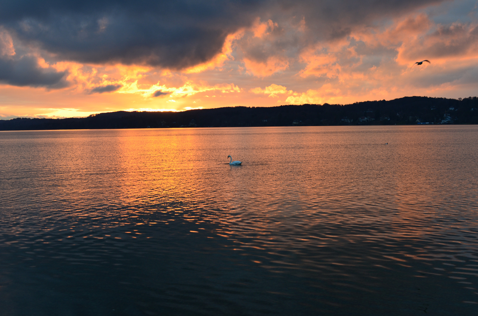 Starnberger See