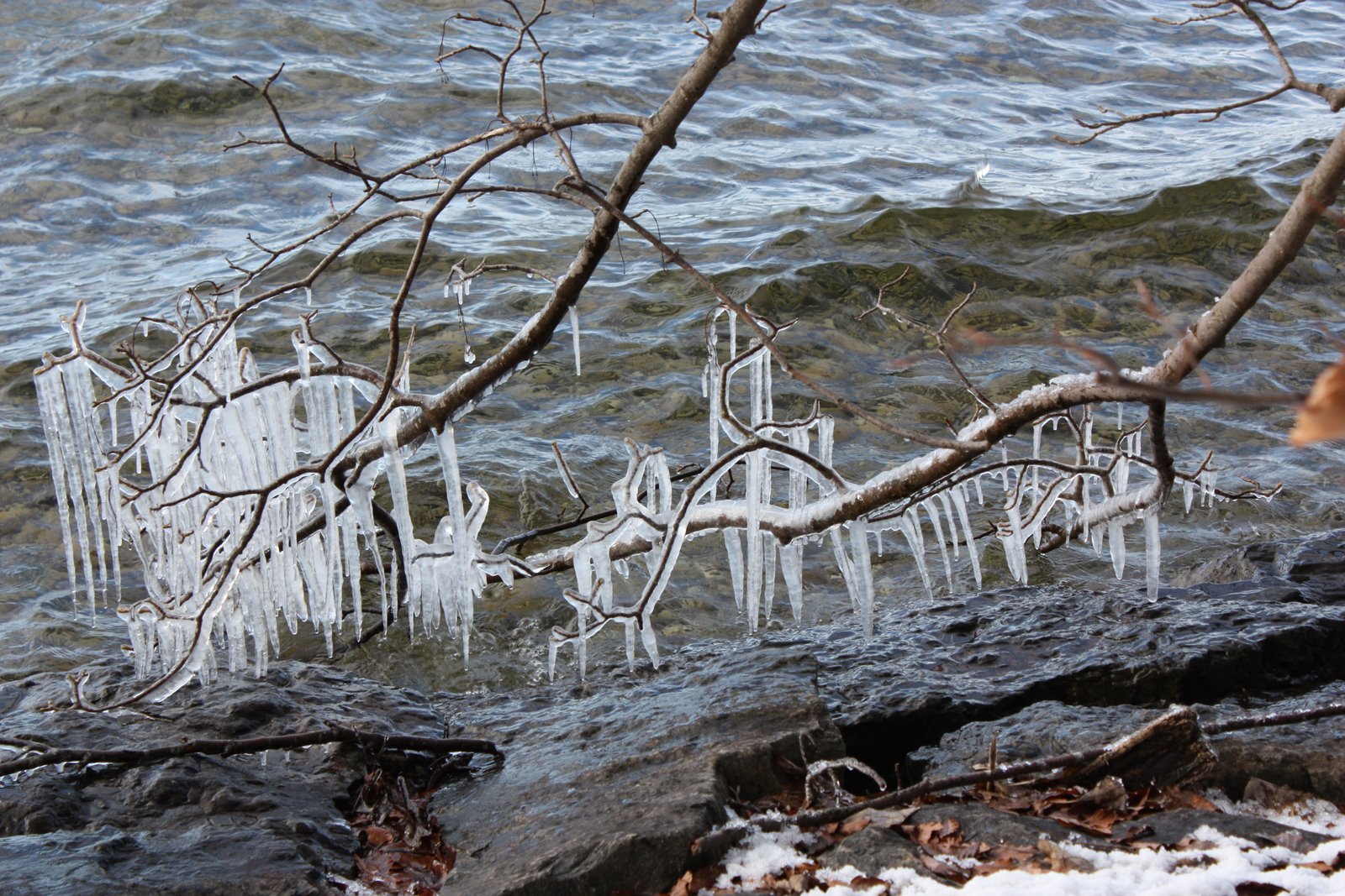 Starnberger See 2