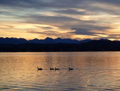 Starnberger See