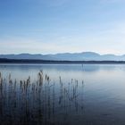 Starnberger See