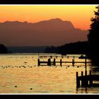 Starnberger See 3