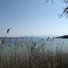 Starnberger See