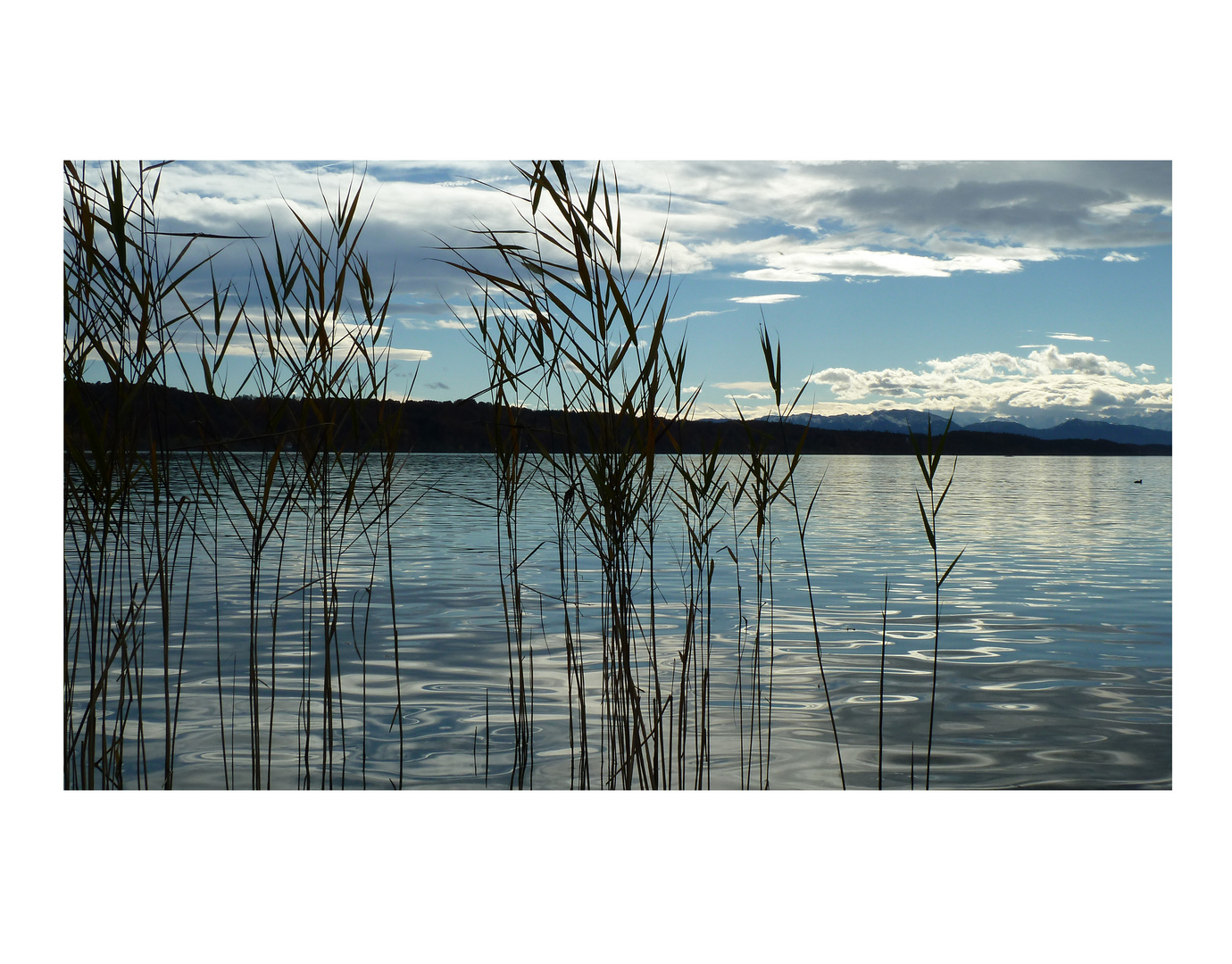 Starnberger See