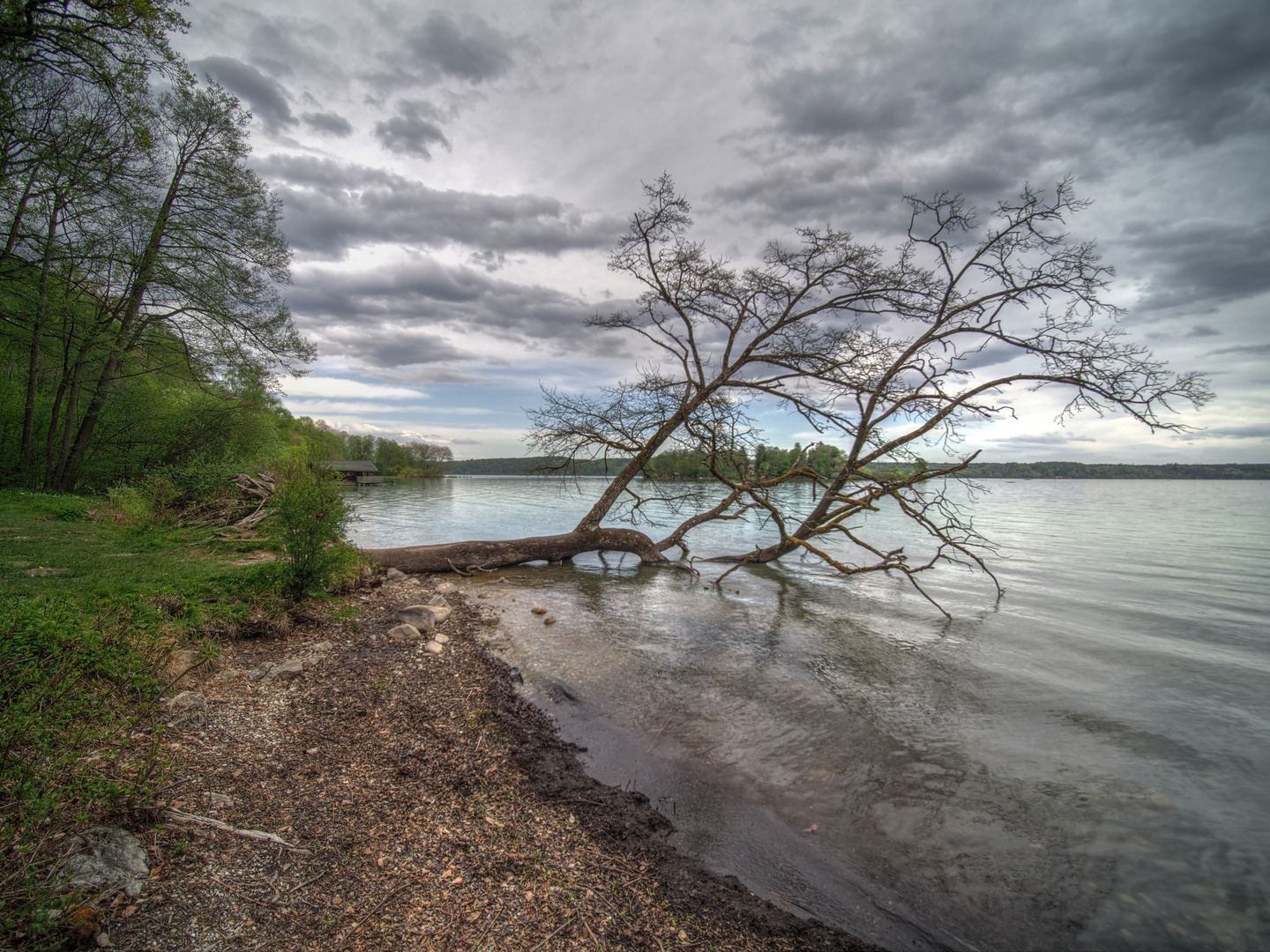 Starnberger See