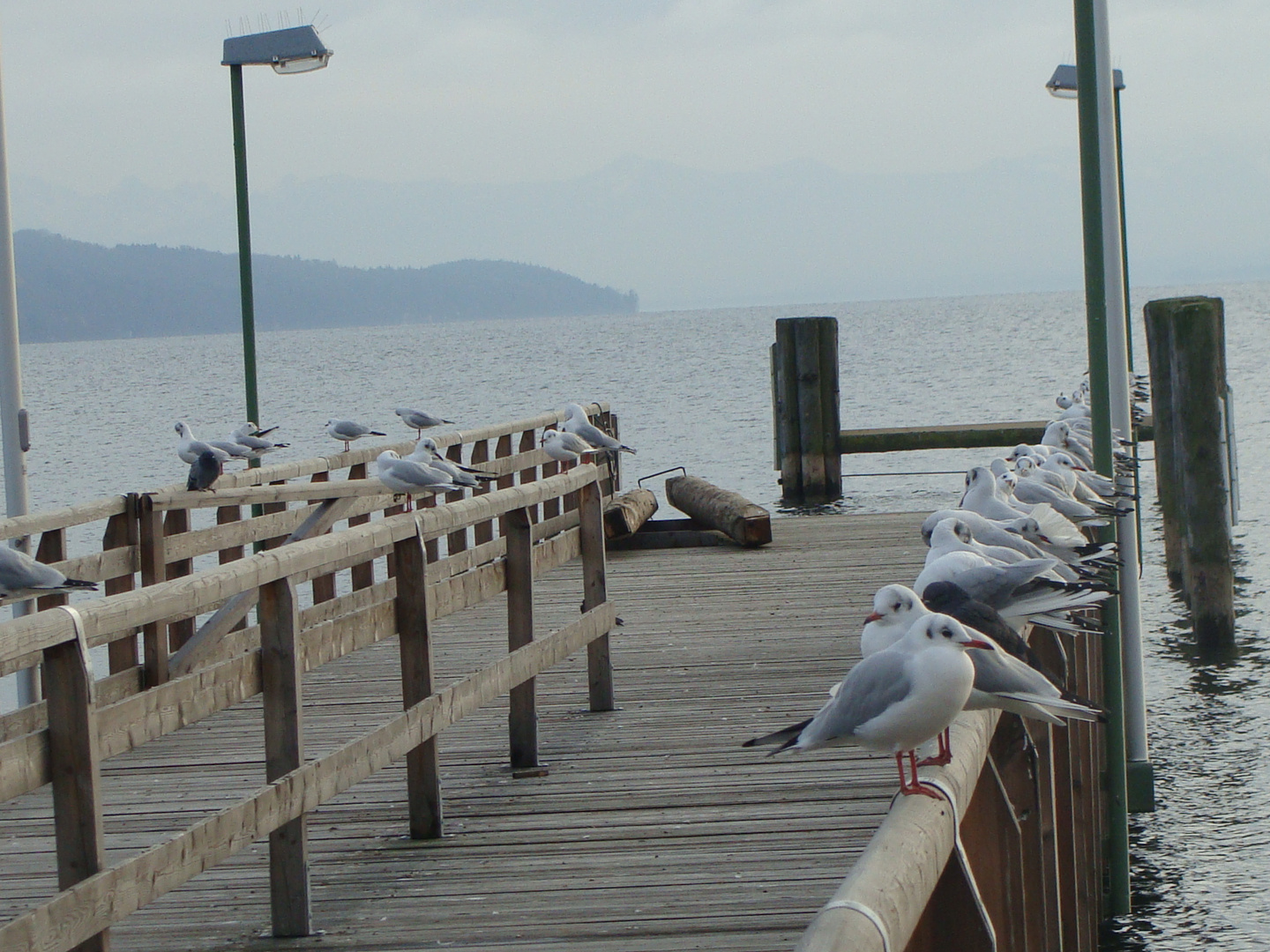 Starnberger See, am 20.11,2010