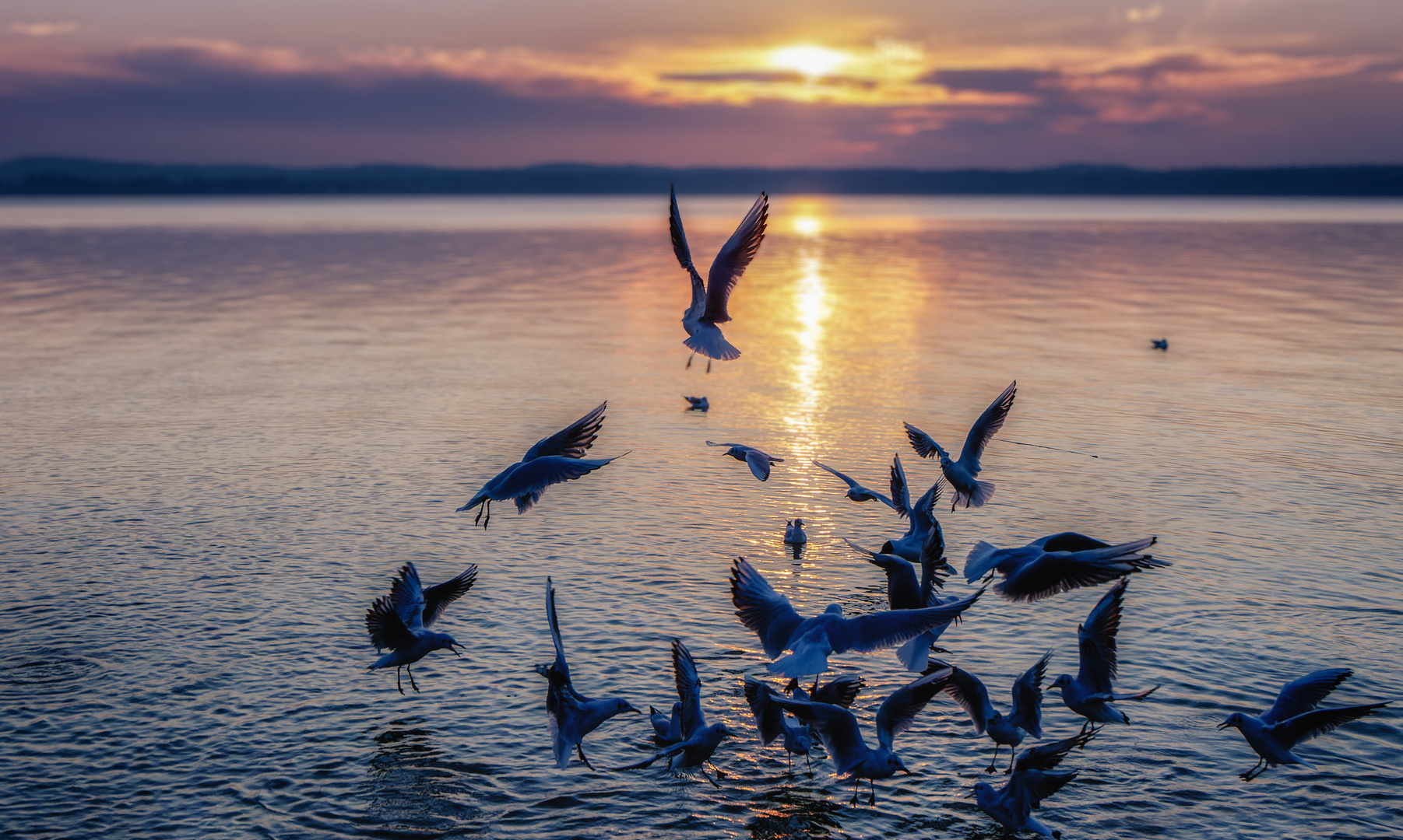 Starnberger See am Abend