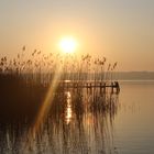 Starnberger See am Morgen...