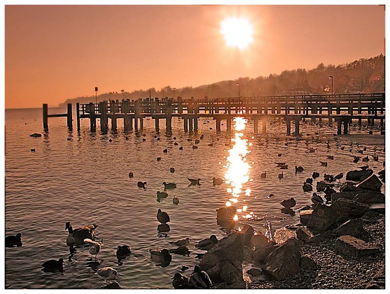 Starnberger See