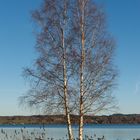 Starnberger See bei Bernried