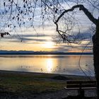 Starnberger See