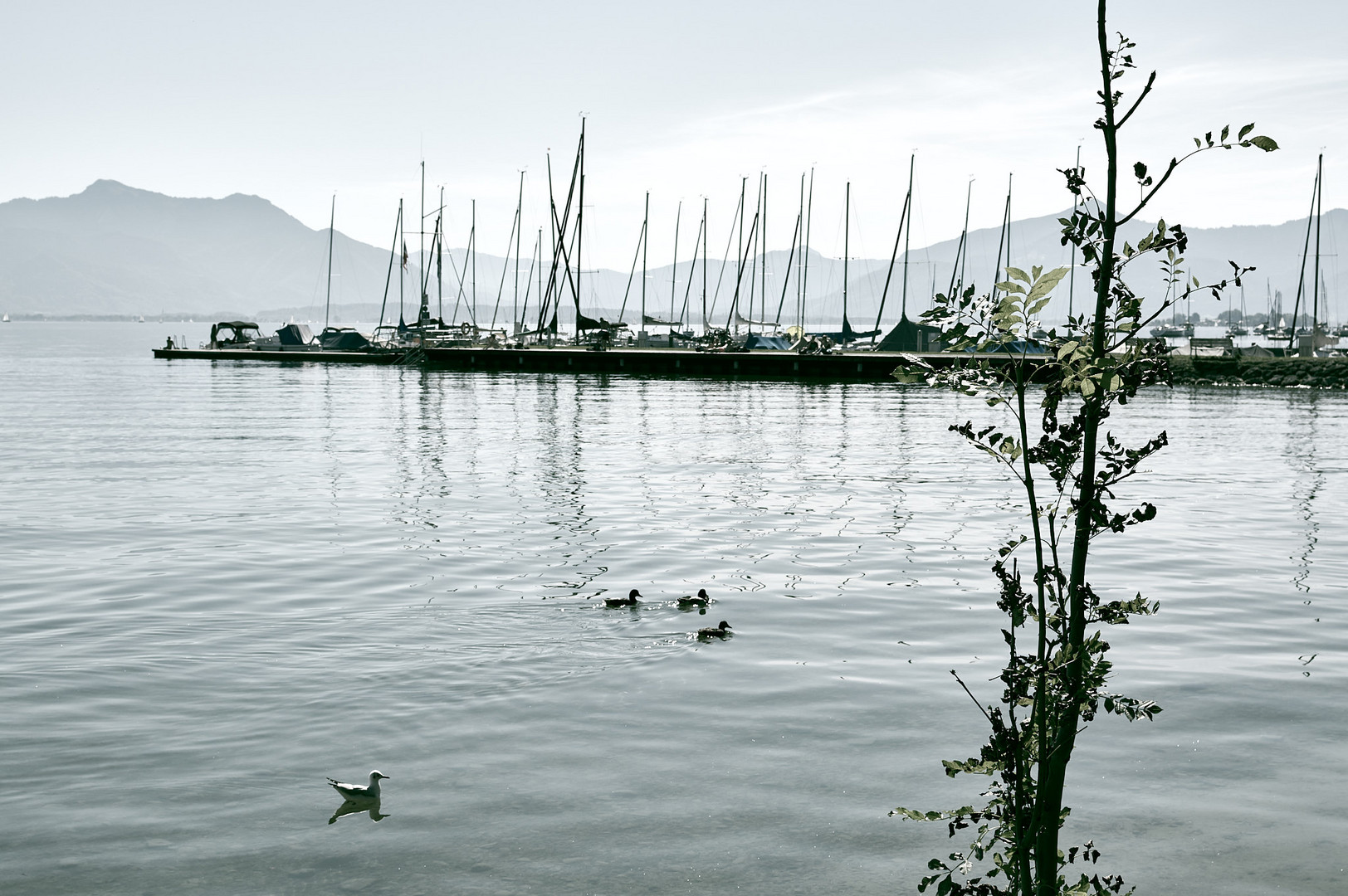 Starnberger See