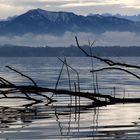 Starnberger See