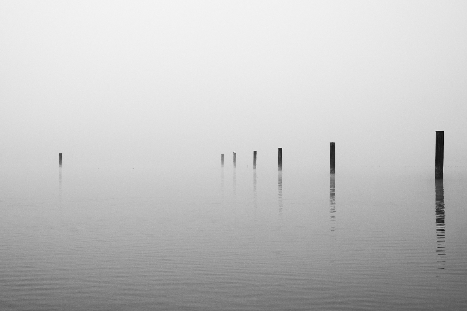 Starnberger See im Nebel