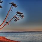 Starnberger See im Winter