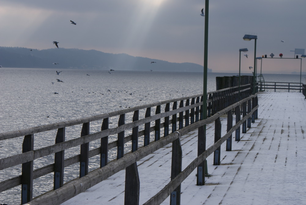 Starnberger See im Winter