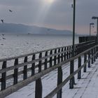 Starnberger See im Winter