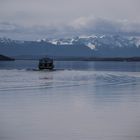 Starnberger See mit Alpen