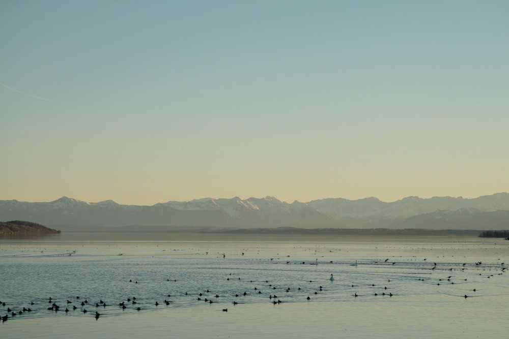 Starnberger See mit Blick auf die Alpen
