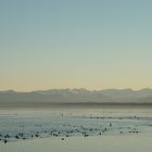 Starnberger See mit Blick auf die Alpen