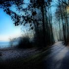 Starnberger See mit Park (Possenhofen)