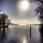 Starnbergersee