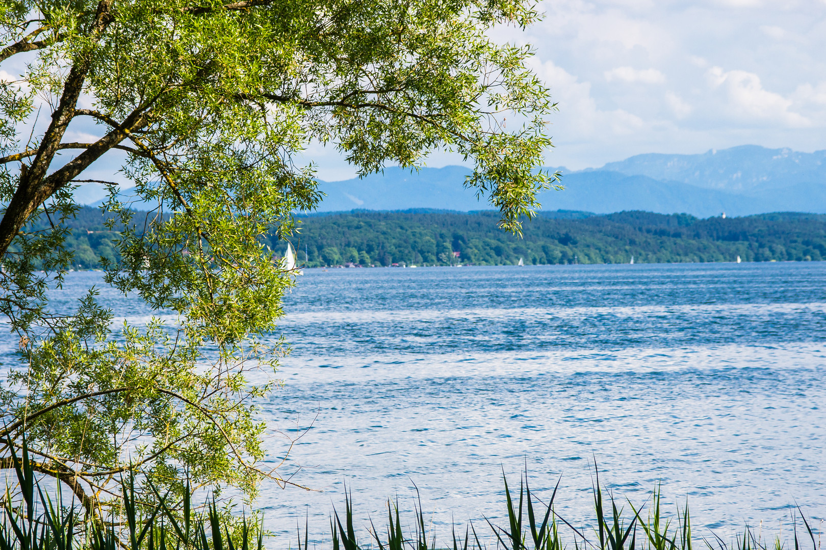 Starnbergersee