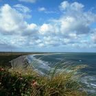 Starnd an der Nordseeküste Dänemarks