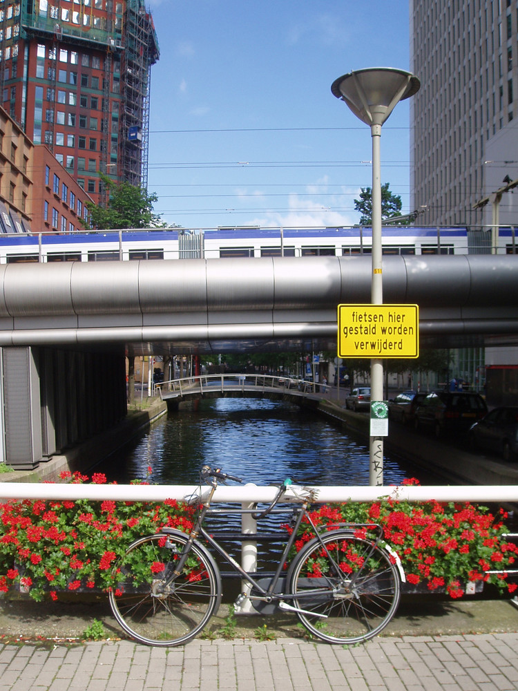 Starre Radfahrer in Holland