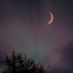 Starry sky over the swamp